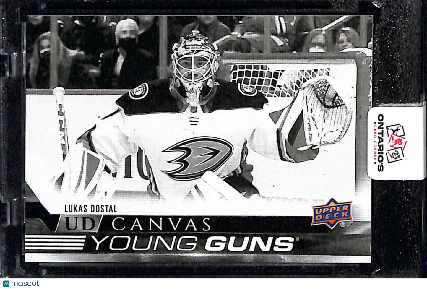 2022 Upper Deck UD Canvas Young Guns Lukas Dostal #C113